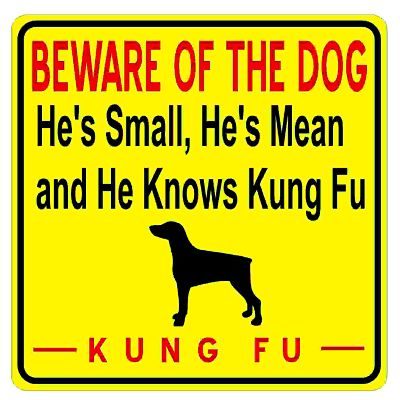 beware-of-dog-kungfu