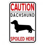 caution-dachshund-spoiled-here