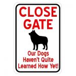 close-gate-dogs-havent-learnt-yet