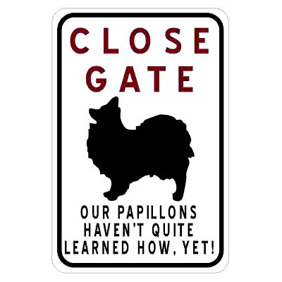 close-gate-paillons-havent-learnt-how