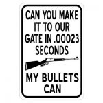 gate-in-00023-seconds-my-bullets-can