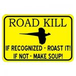 road-kill