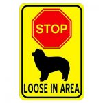 dog-loose-in-area