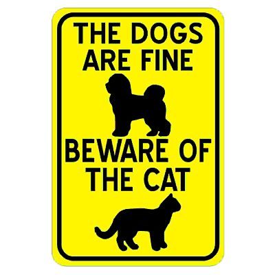 dogs-are-fine-beware-of-cat