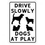 drive-slowly-dogs-at-play
